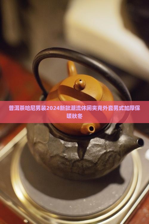 普洱茶哈尼男装