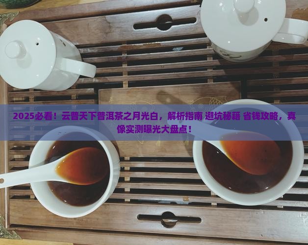 云普天下普洱茶之月光白