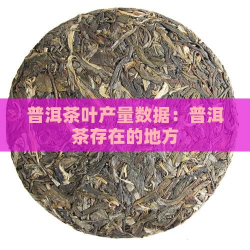 普洱茶存在的地方