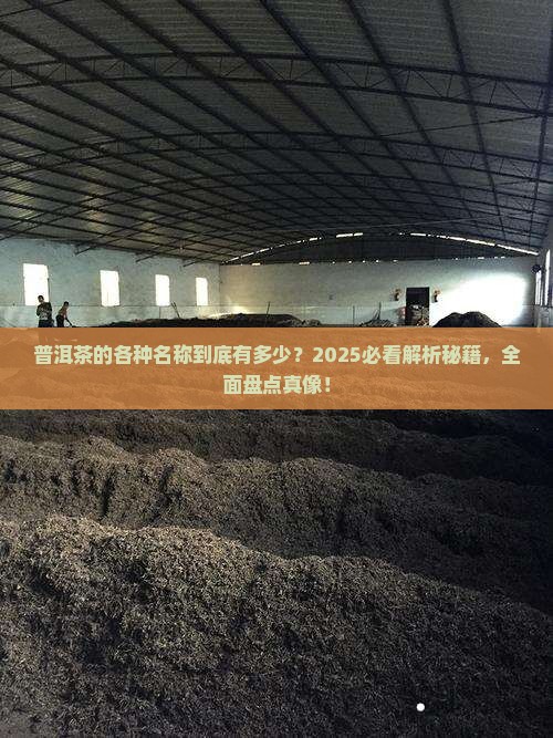 普洱茶的各种名称大全
