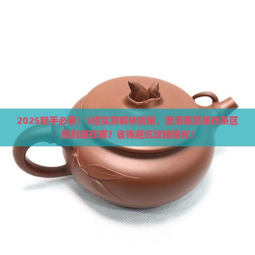 普洱茶夏茶秋茶什么区别
