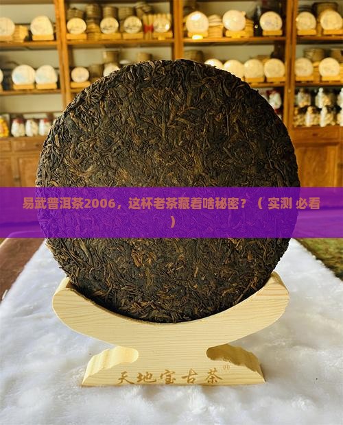 易武普洱茶2006