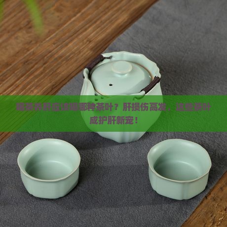 喝茶养肝应该喝那种茶叶