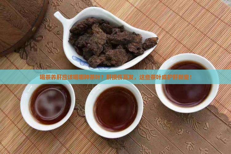 喝茶养肝应该喝那种茶叶