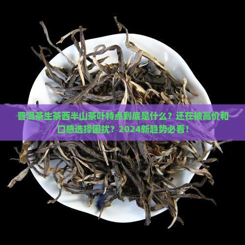 普洱茶生茶普洱茶西半山茶叶特点