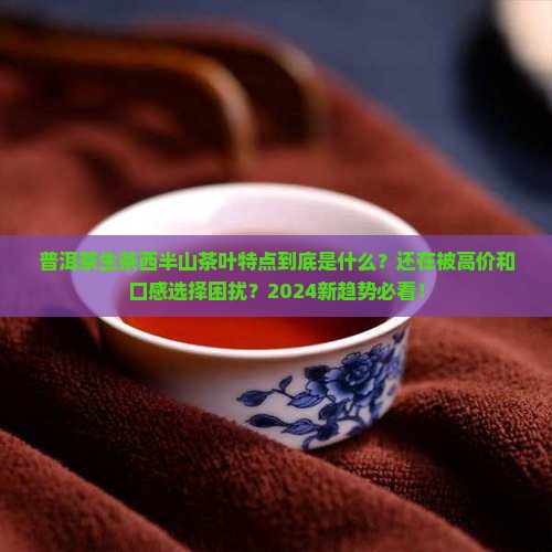 普洱茶生茶普洱茶西半山茶叶特点