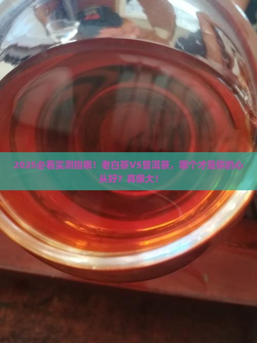老白茶和普洱茶哪个好喝一点