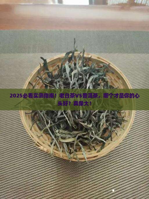 老白茶和普洱茶哪个好喝一点