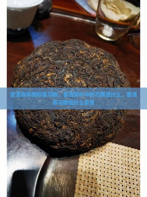 普洱茶采摘标准马蹄