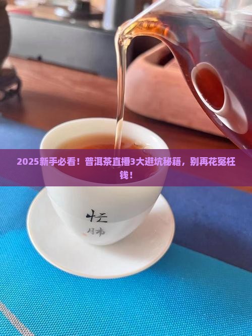 今日普洱茶直播