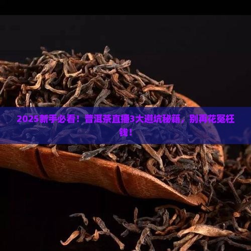 今日普洱茶直播