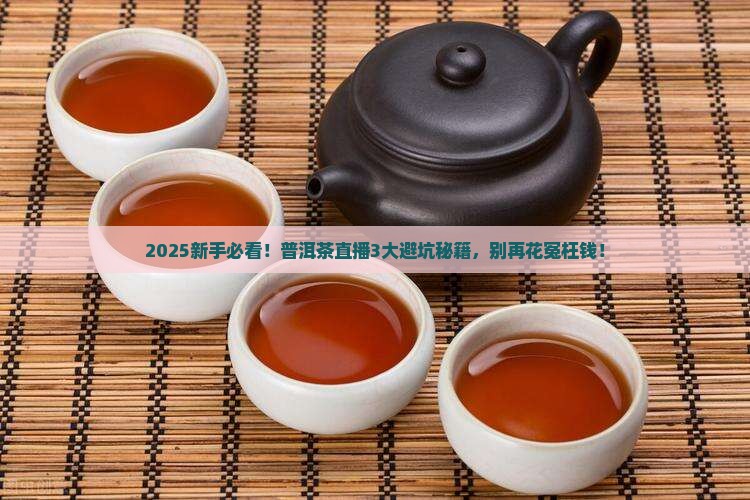今日普洱茶直播