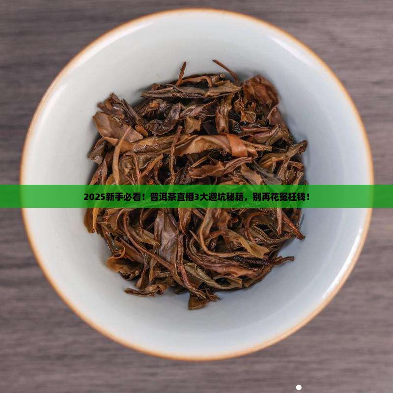 今日普洱茶直播