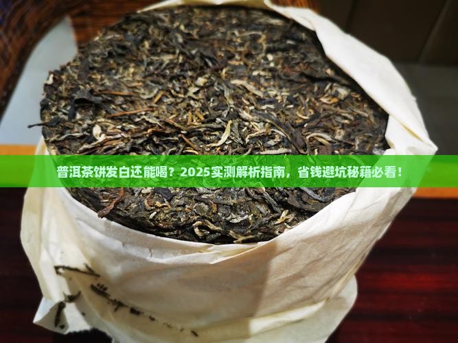 普洱茶饼存放发白n还能喝不