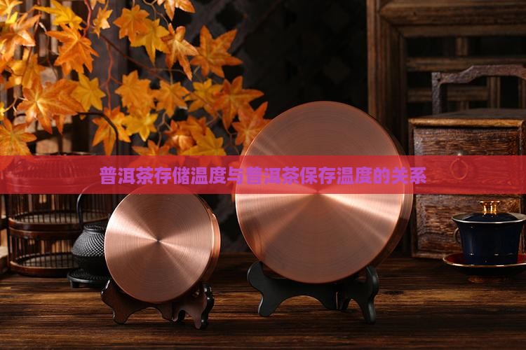存普洱茶适合的温度
