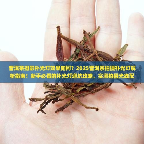 普洱茶摄影补光灯效果如何