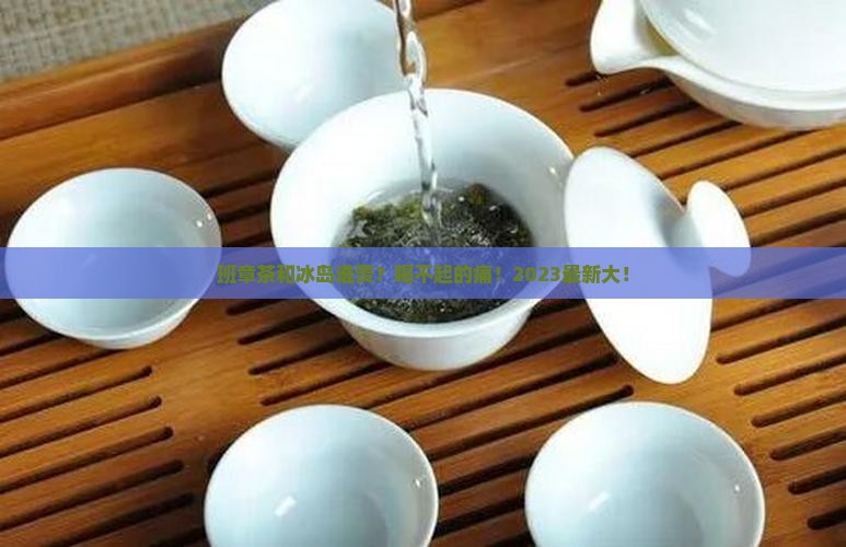 班章茶和冰岛谁贵