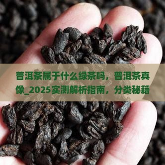 普洱茶属于什么绿茶吗