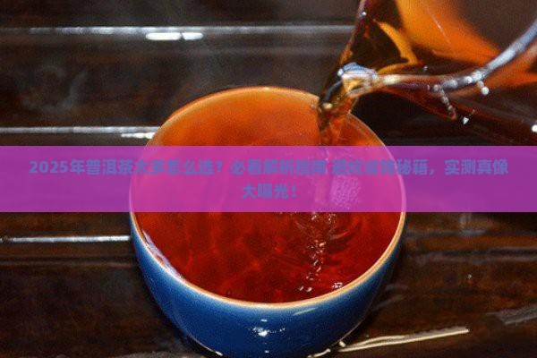 普洱茶品牌太多怎么选
