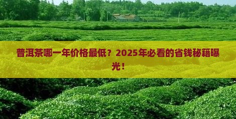 普洱茶哪一年价格最低