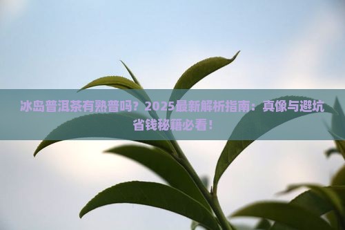 冰岛普洱茶有熟普吗