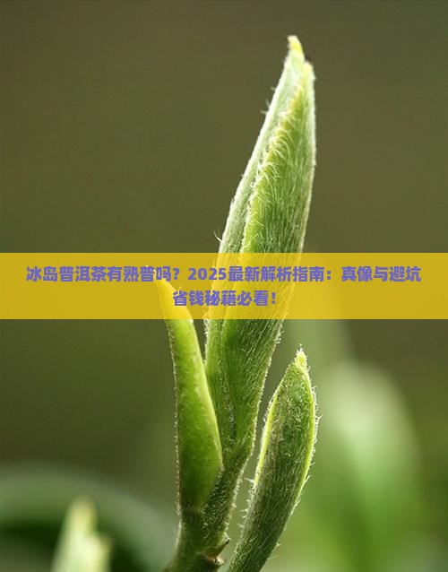 冰岛普洱茶有熟普吗