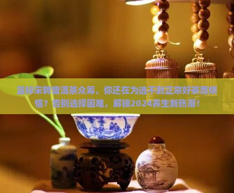 蓝标宋聘普洱茶众筹
