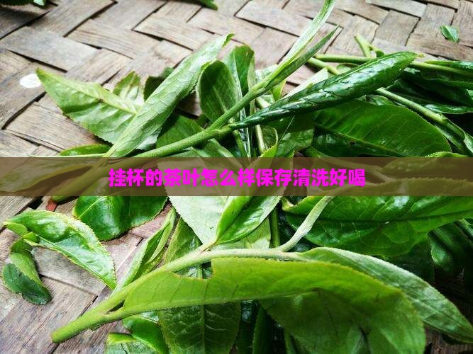 挂杯的茶叶怎么样