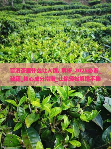 普洱茶里什么让人饿