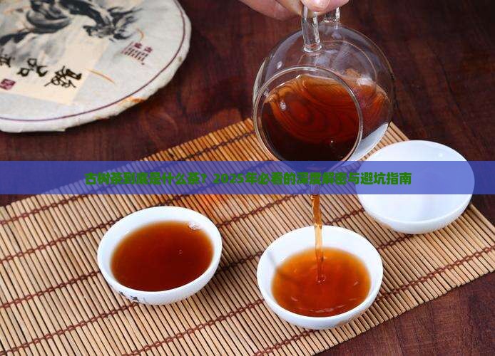古树茶属于什么茶