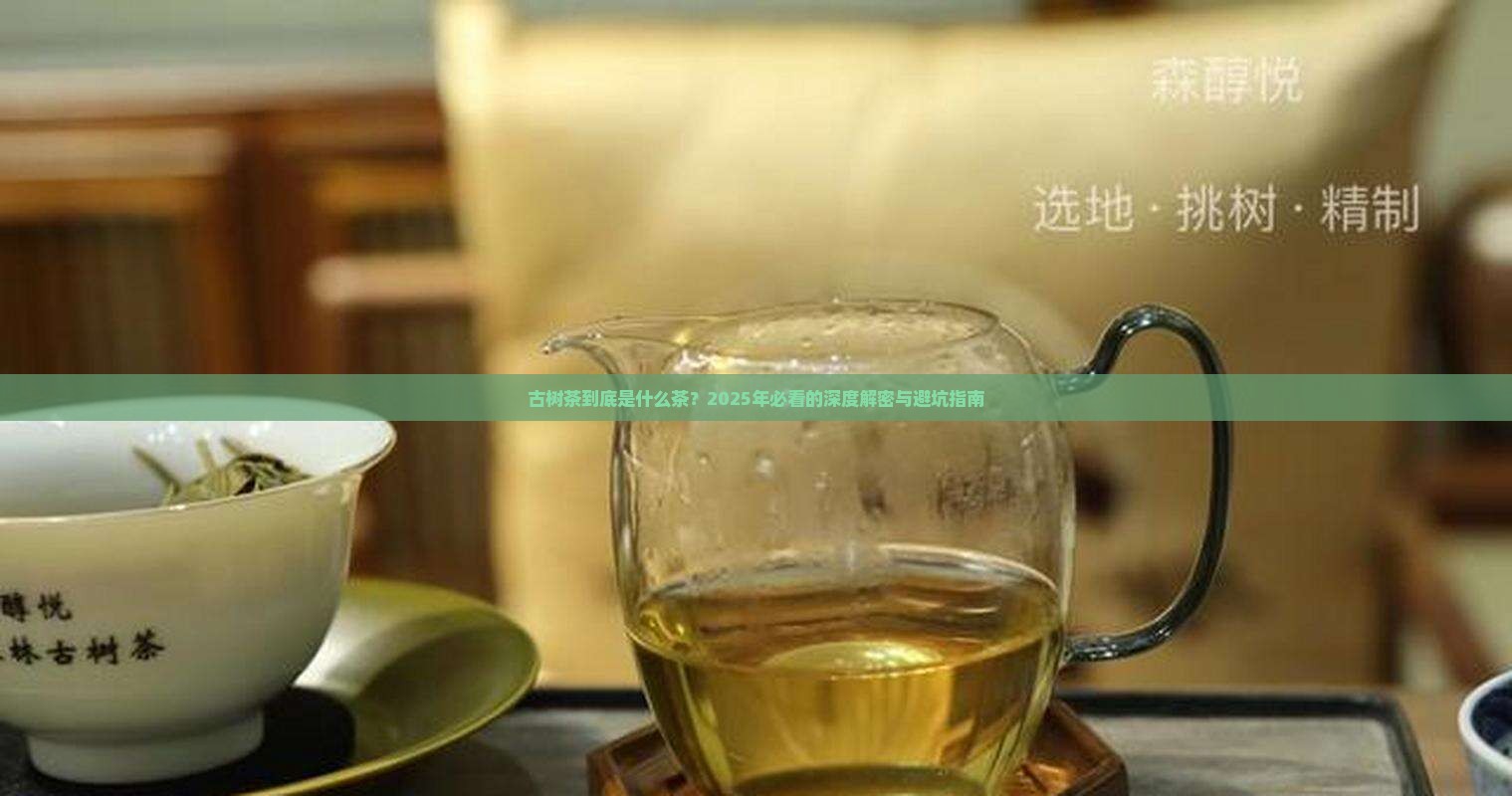古树茶属于什么茶