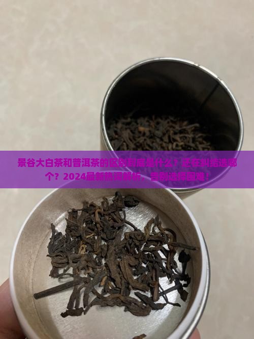 景谷大白茶和普洱茶的区别