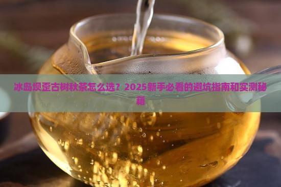 冰岛坝歪古树秋茶怎样