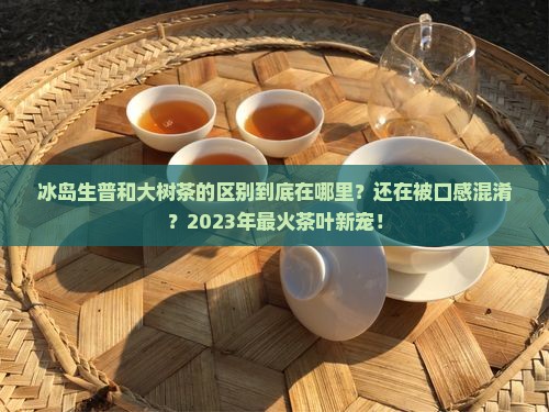 冰岛生普和大树茶的区别