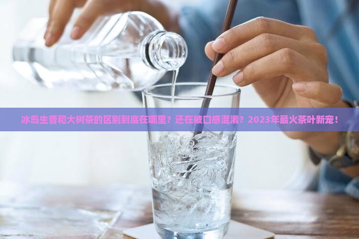 冰岛生普和大树茶的区别