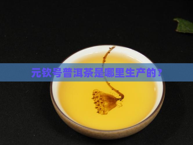 元钦号普洱茶是哪里