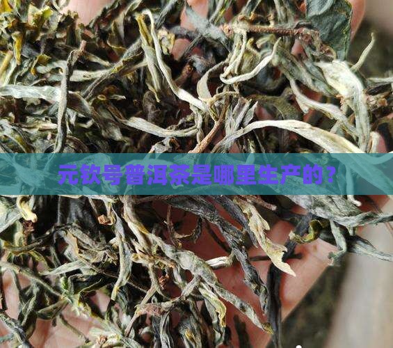 元钦号普洱茶是哪里
