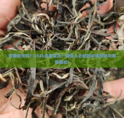 普洱茶对肾影响