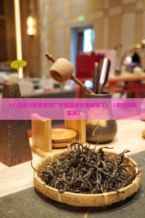 广东普洱茶女老板