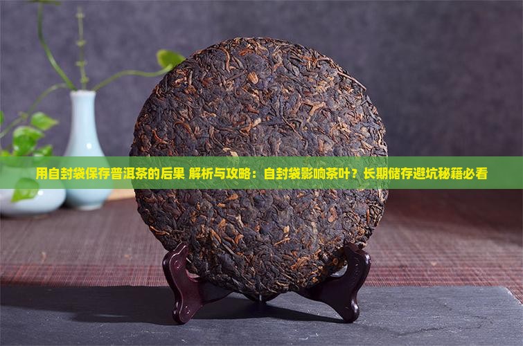 用自封袋保存普洱茶的后果