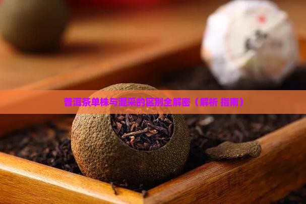 普洱茶单采和混采