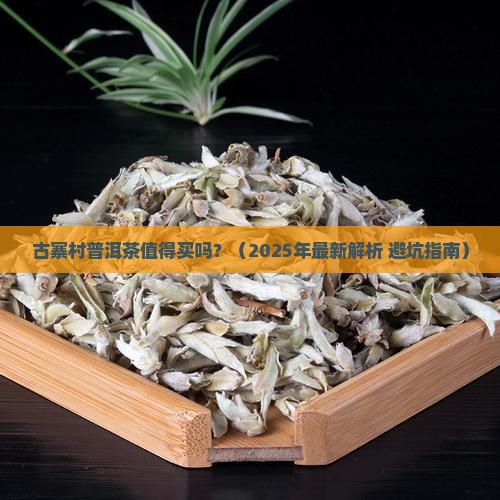 古寨村普洱茶能买吗