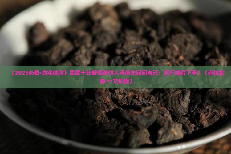 易武十年普洱茶饼
