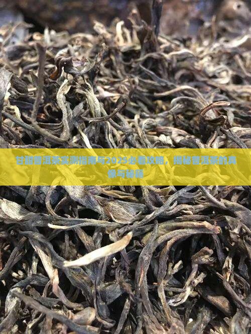 甘甜的普洱茶好吗