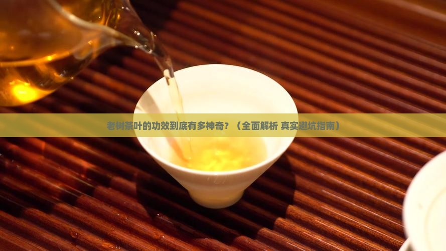 老树茶叶有什么功效