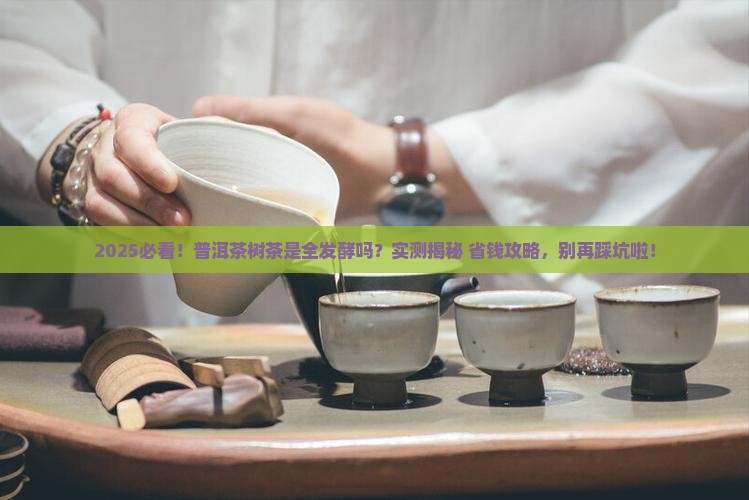 普洱茶树茶是全发酵吗