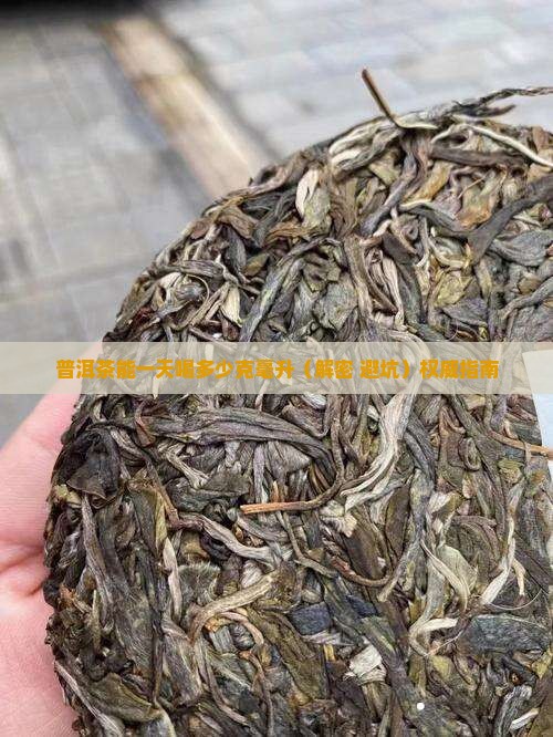 普洱茶能一天喝多少