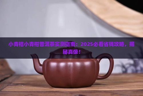 小青桔小青柑普洱茶