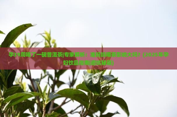 孕39周喝了一碗普洱茶