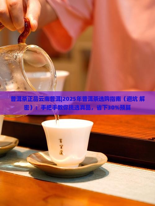 普洱茶正品云南普洱